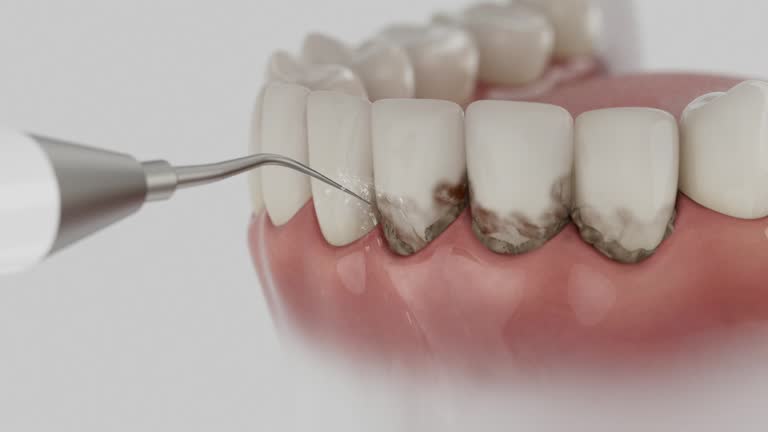 Reliable Dental contractor in Crystal Lawns, IL by Dentist Open Now